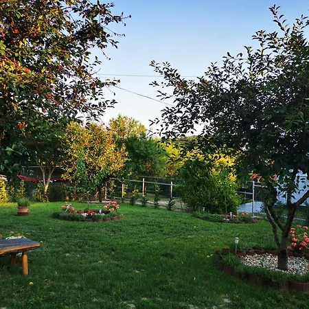 Napola * Balatonalmádi